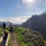 Madeira: Levada dos Maroços Hike - What the Tour Entails: An In-Depth Look