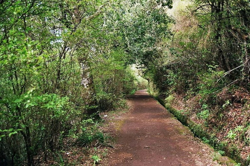 Madeira: Levada Paradise Valley Scenic Walk - Practical Tips for Your Tour
