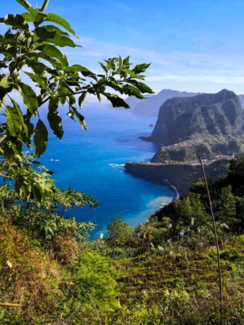 Madeira: Levada Referta Castelejo Guided Walk - Exploring the Itinerary in Detail