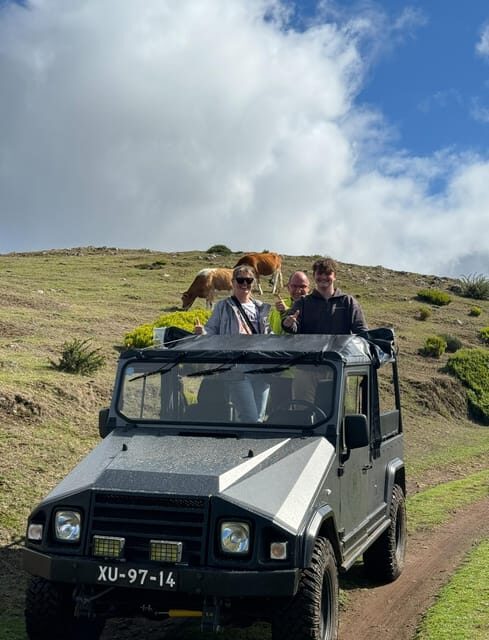 Madeira: Off-Road Buggy Tour in Mountains and Viewpoints - Who Should Book This Tour?