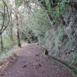 Madeira: Private 1.5-Kilometer Levada dos Balcões Hike PR11 - The Value of a Private Guided Tour