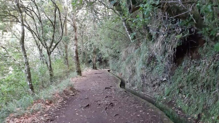 Madeira: Private 1.5-Kilometer Levada dos Balcões Hike PR11 - The Value of a Private Guided Tour