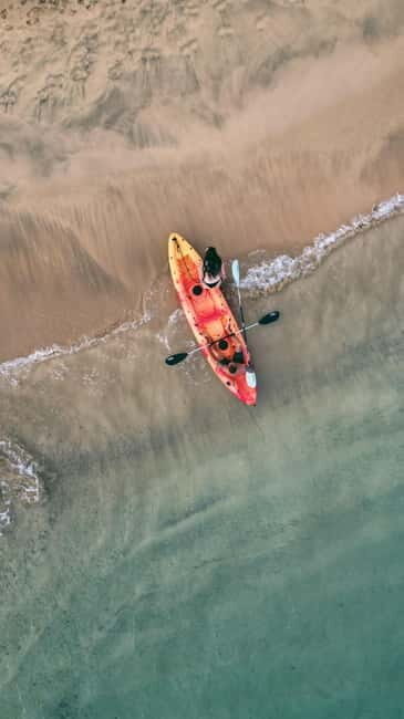 Madeira Private Catamaran Tour in Ponta de Sao Lourenço - Detailed Breakdown of the Experience