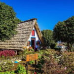 Madeira: Sightseeing Tour - Practical Insights & Tips for Making the Most of the Tour