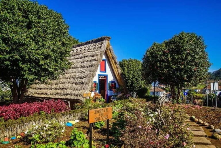 Madeira: Sightseeing Tour - Practical Insights & Tips for Making the Most of the Tour