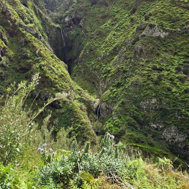 Madeira: Vereda da Ladeira Challenging Full-Day Hike - What to Expect on the Trail