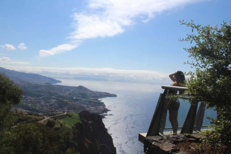 Madeira: Vineyard Tour w/ Wine Tasting & Skywalk - Practical Details: What You Need to Know