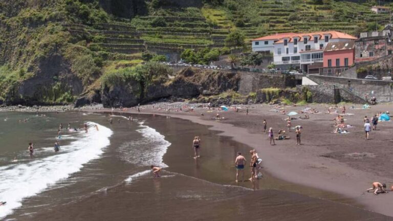 Madeira: Walk in Fanal and Seixal Beach Guided Tour - Final Thoughts: Is It Worth It?