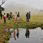 Madeira West - Enchanted Terraces & Fanal Unesco open top jeep - FAQ