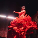 Madrid: Authentic Flamenco at Flamenco de Leones - Authenticity and Value