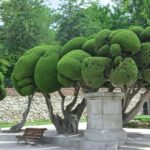 Madrid: Private Retiro Park Tour With Local Guide - Final Thoughts
