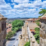 Madrid: Tour in Avila & Salamanca - Analyzing the Value