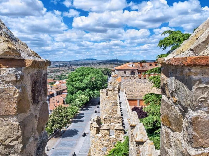 Madrid: Tour in Avila & Salamanca - Analyzing the Value
