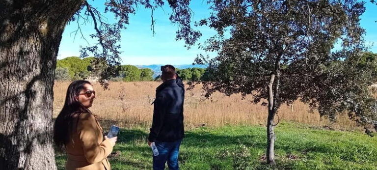 Madrid Wine Tour: Discover Unique Local Wineries & Tastings - Detailed Breakdown of the Itinerary  