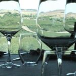 Madrid Wineries Private Tour with Hotel Pickup and Lunch - Authentic, Well-Rounded, and Enjoyable