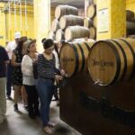 Magic Town Tequila and Agave Fields - In-Depth Review of the Magic Town Tequila and Agave Fields Tour