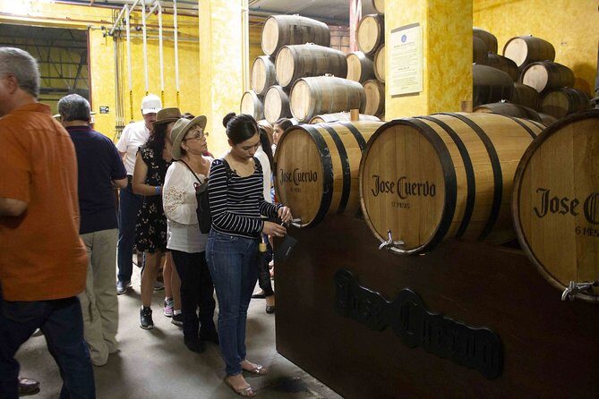 Magic Town Tequila and Agave Fields - In-Depth Review of the Magic Town Tequila and Agave Fields Tour