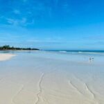 Magical Holbox Punta Mosquito Tour from Cancun - Who Is This Tour Best Suited For?