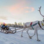 Magical Private Santa Visit, Reindeer Ride & Elf Workshops - Detailed Breakdown of the Experience