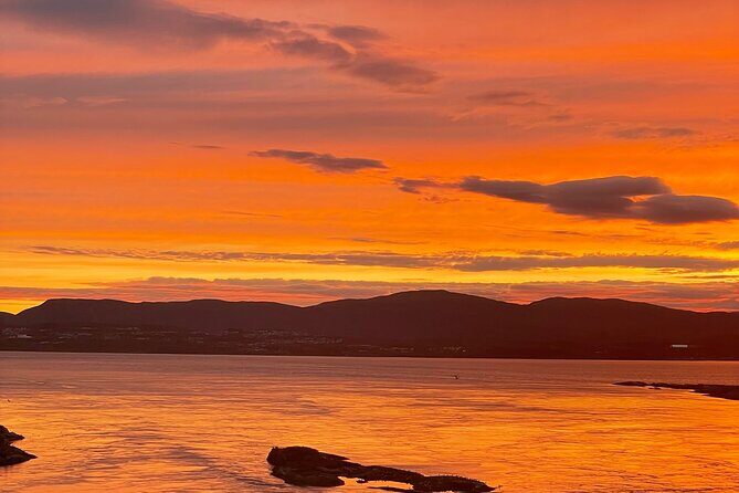 Magical Saltstraumen Tour - A Deep Dive into the Itinerary