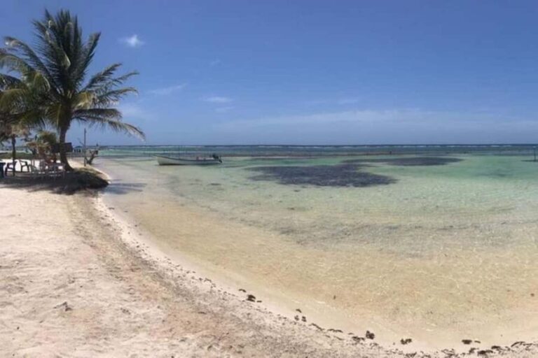 Mahahual: All-Inclusive Costa Maya Beach Break with Open Bar - What Travelers Are Saying: Honest Feedback from Past Guests