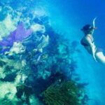 Mahahual: Snorkel Tour in Reef Lagoon - What the Tour Includes and What to Consider