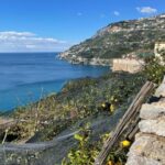 Maiori: Amalfi Coast Path of Lemons Day Trip with Tastings - How the Experience Translates to Real Value