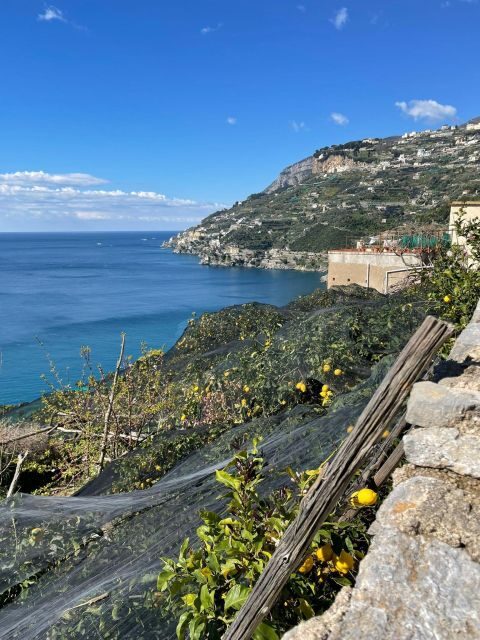 Maiori: Amalfi Coast Path of Lemons Day Trip with Tastings - How the Experience Translates to Real Value