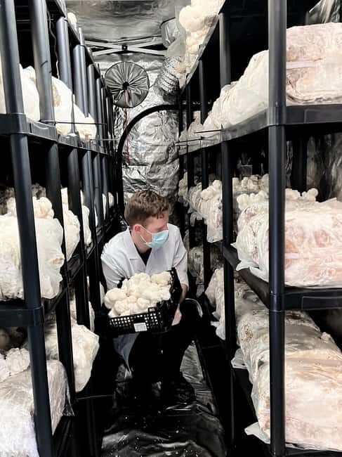 Makars Mushroom Farm Summerhall Tour with DIY Block Making - A Closer Look at the Tour Experience