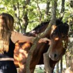 Makarska: Biokovo Skywalk 4X4 Tour - Ultimate Mountain Views - Reaching the Skywalk: A Glass-Horseshoe Wonder