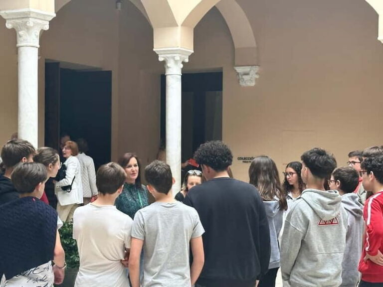 Malaga: Picasso Museum Tour with Expert Art Tour Guide for small groups - Practical Details and Value  