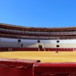 Malaga: Private Guided Tour of the Bullring and Immersive Museum - A Closer Look at the Experience: What To Expect