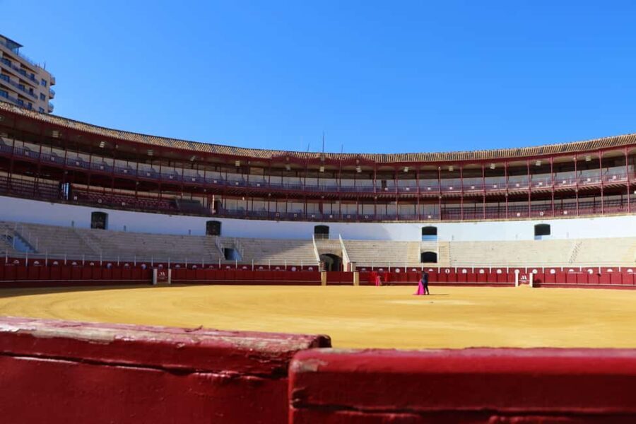 Malaga: Private Guided Tour of the Bullring and Immersive Museum - A Closer Look at the Experience: What To Expect