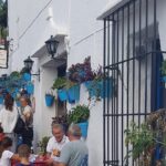 Malaga private Shore Excursion: Malaga Highlights & Mijas White Washed Village - Transportation and Logistics