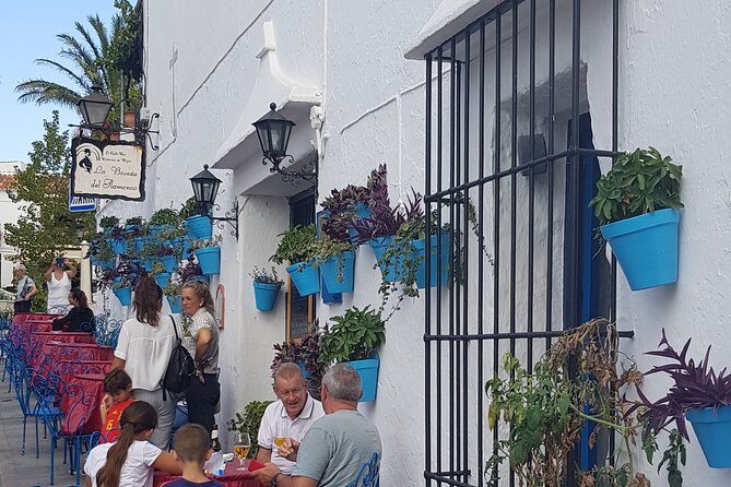 Malaga private Shore Excursion: Malaga Highlights & Mijas White Washed Village - Transportation and Logistics