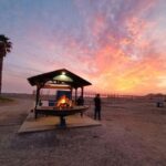 Malaga: Sardines On Skewers Show Cooking on the Beach - Final Thoughts: Who Will Love It