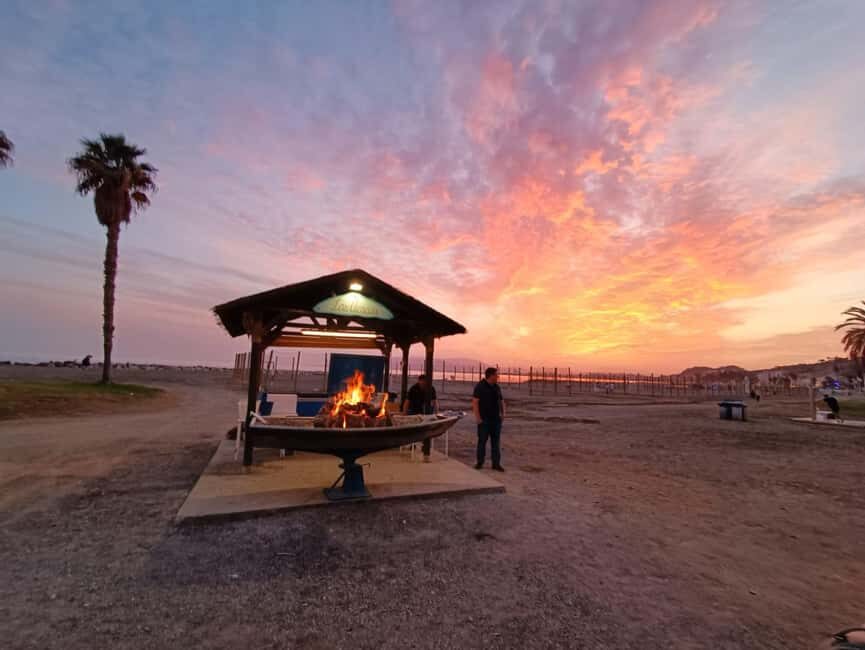 Malaga: Sardines On Skewers Show Cooking on the Beach - Final Thoughts: Who Will Love It
