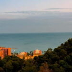 Malaga: Tour in a comfortable, modern, eco-friendly, and socially conscious electric tuk tuk. - What to Expect During the Experience