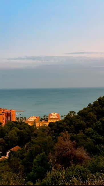 Malaga: Tour in a comfortable, modern, eco-friendly, and socially conscious electric tuk tuk. - What to Expect During the Experience