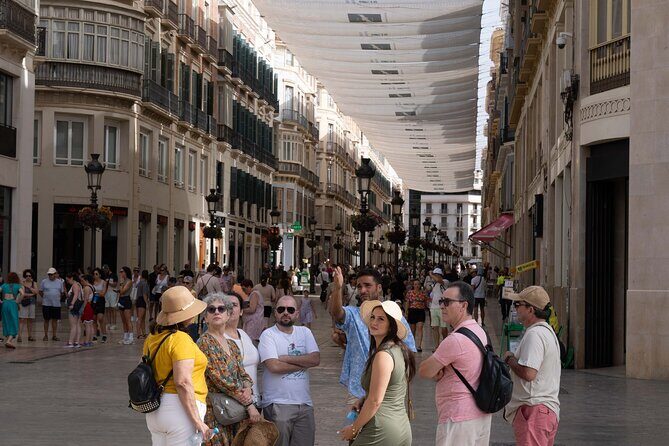 Malaga Walking Tour, Roman Theatre and Alcazaba with Tickets Included - Practical Details and Tips