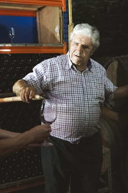 Málaga:Exclusive Heroic Vineyard Visit & Natural WineTasting - An Unforgettable Journey into Heroic Mountain Viticulture