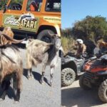 Malia: Off-Road Quad Safari Tour with Lunch and Transfers - The real value: what travelers appreciate most