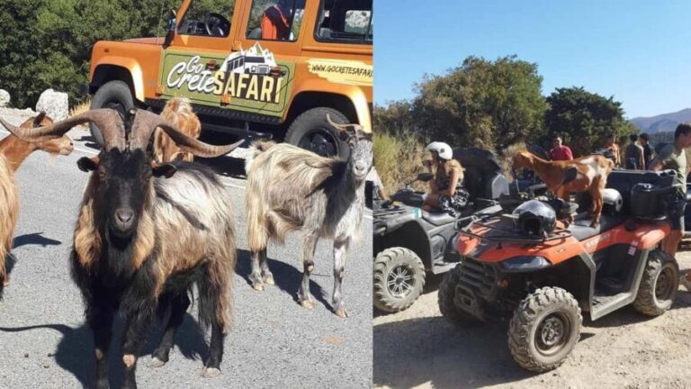 Malia: Off-Road Quad Safari Tour with Lunch and Transfers - The real value: what travelers appreciate most