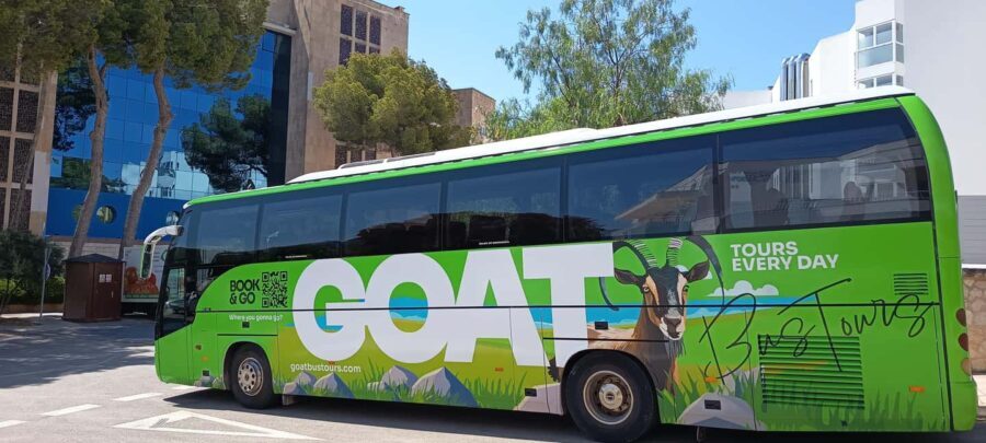 Mallorca: 3-hour bus tour around Calvià with 2 stops - The Itinerary Breakdown: What You’ll See and Experience