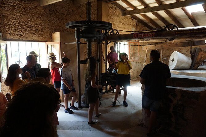 Mallorca: 5-hours Hidden Marvels Tour - Practicalities and Experience Quality