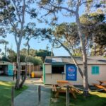 Mallorca: Discover Scuba Diving Experience - The Dive Experience: A Closer Look