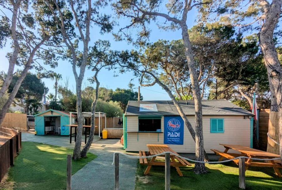 Mallorca: Discover Scuba Diving Experience - The Dive Experience: A Closer Look