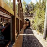 Mallorca: Exclusive Soller Train and Tram Half-Day Tour - Exploring Soller: Town Charm and Local Flavors