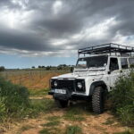 Mallorca: Exclusive wine tour with breakfast, wine tasting, and paella - Who Should Book This Tour?