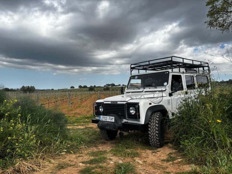 Mallorca: Exclusive wine tour with breakfast, wine tasting, and paella - Who Should Book This Tour?